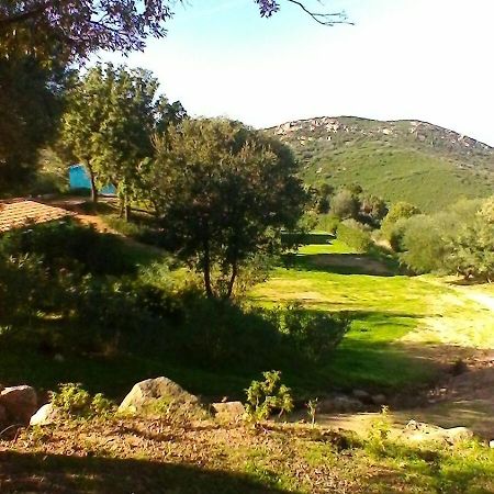 Farm Stay Gli Oleandri Loiri Porto San Paolo Екстериор снимка