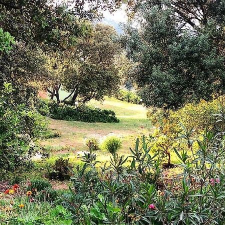 Farm Stay Gli Oleandri Loiri Porto San Paolo Екстериор снимка