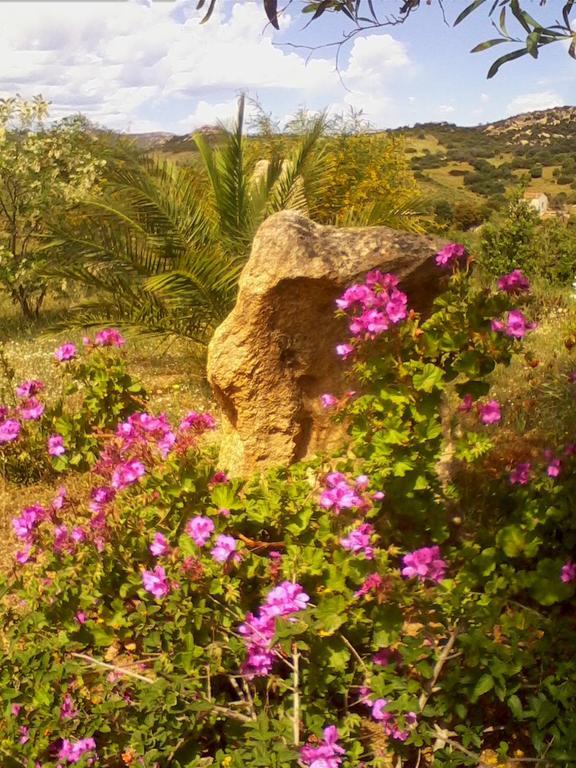Farm Stay Gli Oleandri Loiri Porto San Paolo Екстериор снимка