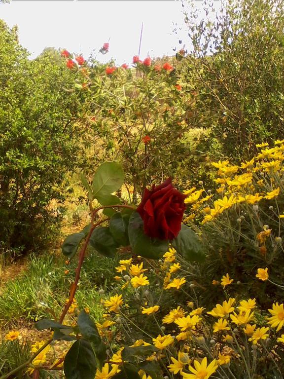Farm Stay Gli Oleandri Loiri Porto San Paolo Екстериор снимка