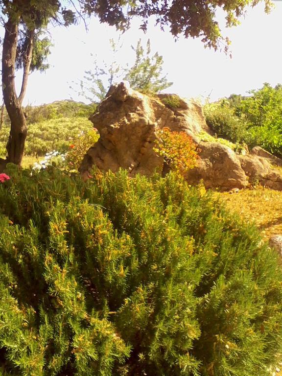 Farm Stay Gli Oleandri Loiri Porto San Paolo Екстериор снимка