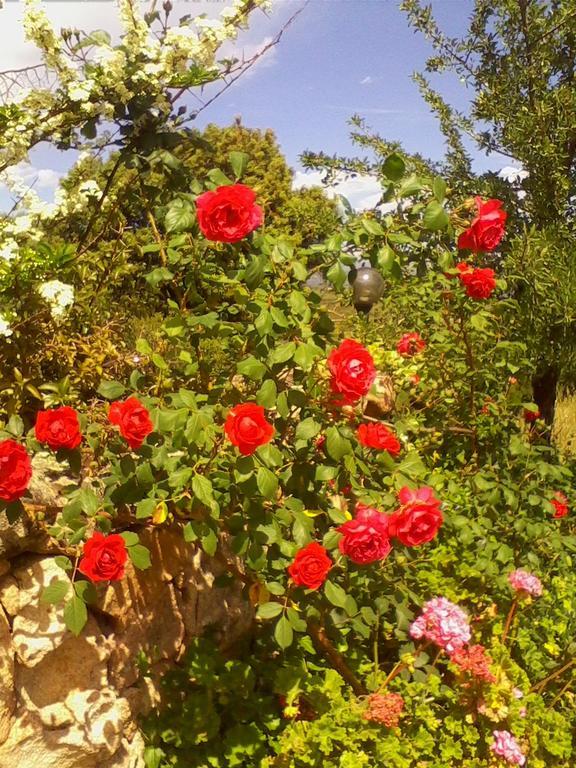 Farm Stay Gli Oleandri Loiri Porto San Paolo Екстериор снимка