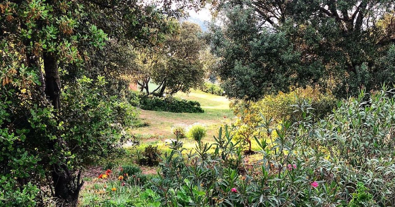 Farm Stay Gli Oleandri Loiri Porto San Paolo Екстериор снимка