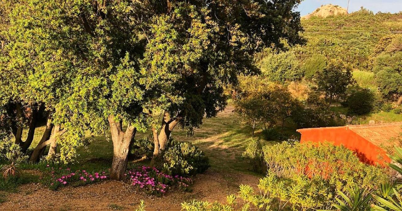 Farm Stay Gli Oleandri Loiri Porto San Paolo Екстериор снимка