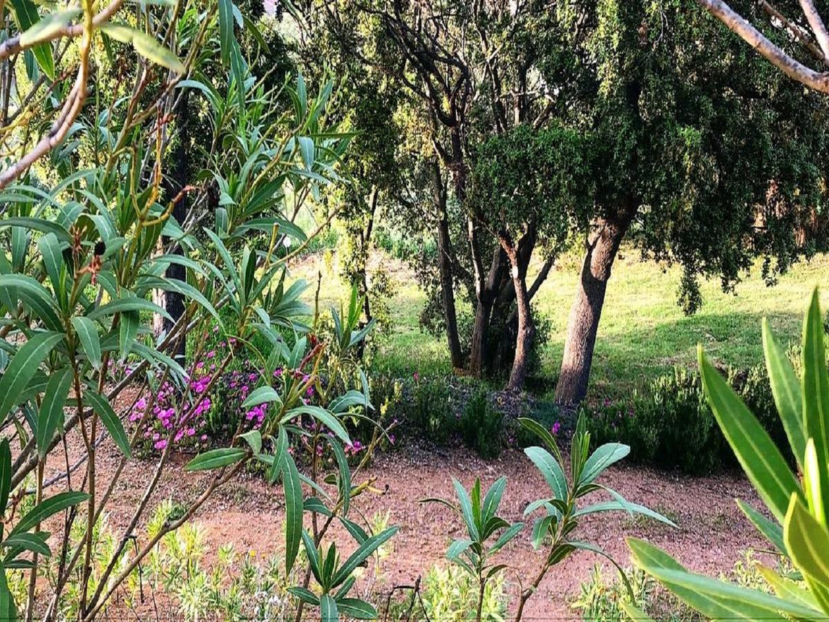 Farm Stay Gli Oleandri Loiri Porto San Paolo Екстериор снимка