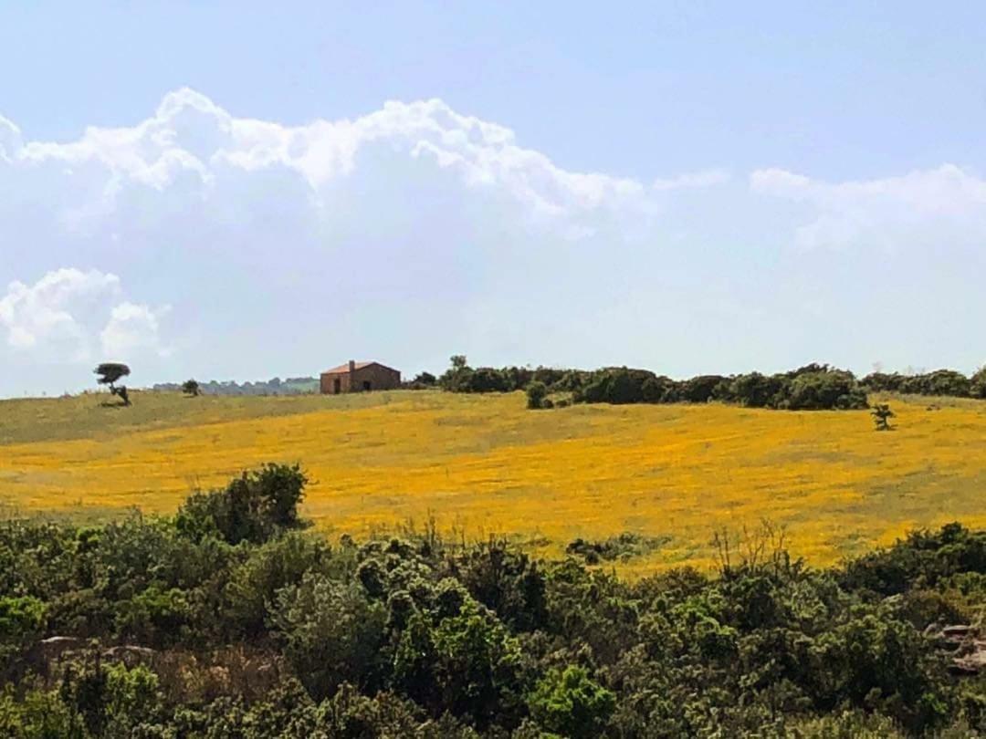 Farm Stay Gli Oleandri Loiri Porto San Paolo Екстериор снимка